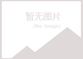 芦山县夜山化学有限公司